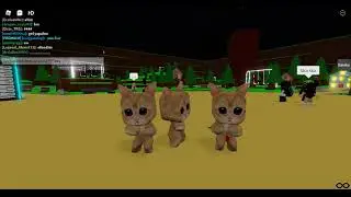 MEowwwww