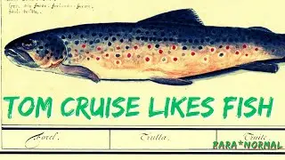 🤯 The Fish Fetish of Tom Cruise ┆Tik Tok compilation
