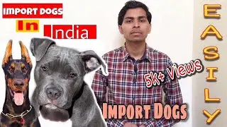How to Import Dogs in India ( Rules & Required Documents ) | Amit Choudhary |