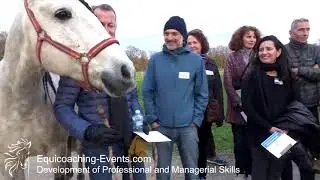 Equicoaching testimonials from 21 International Top Managers Electronic of a Worldwide Group