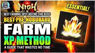 AMAZING XP FARM For Coming Difficulty Spike GUIDE LVL UP FAST | Nioh 3