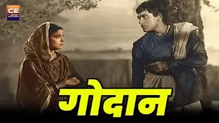 गोदान ( Godaan 1963 ) सुपरहिट बॉलीवुड हिंदी फिल्म || राज कुमार, शशिकला जावलकर, महमूद