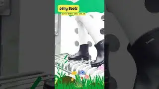 #shorts Jelly Boots | JB069 | 36-41 |  Sepatu Boots Martin Wanita Dewasa Bahan PVC