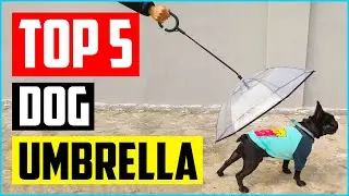 Top 5 Best Dog Umbrella of 2023 Review
