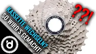 Wie Du die Kassette oder den Schraubkranz Deines E-Bikes wechselst
