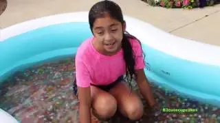 Orbeez Pool and Dolphin Summer Water Fun Play!! B2cutecupcakes