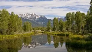 Mountain Living at its Finest in Jackson, Wyoming