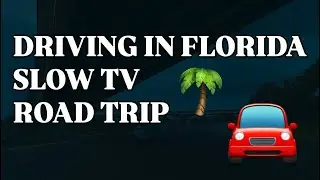 DRIVING IN FLORIDA | SLOW TV | MORNING ROAD