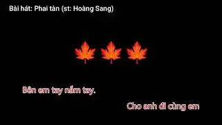 Karaoke Phai tàn | Hoàng Sang