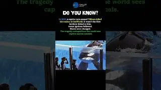 The Dark Truth Behind Captive Dolphins #shorts #SeaWorld #Tilikum