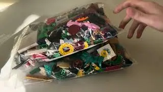 Pick-a-Brick January 2026 - LEGO Haul