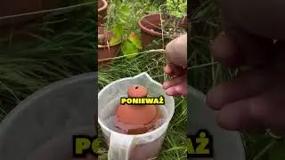 KLIKNIJ W DŹWIĘK!🙏🙏🙏