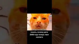 Сложная задачка. Трек: ENSKA - Stray Blade #мемы #мем