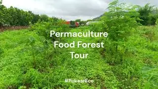 Food Forest and Agroforestry Tour | Permaculture and Regenerative Farm In Rajasthan, India
