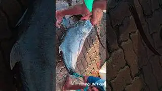 Culinary Artistry: Massive Trevally Fish Head Removal in the Vibrant Village Market #trevally