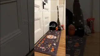 👻✨ Trick or&hellip; Treat your floors!