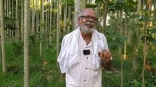 ಯಶಸ್ವಿ ರೈತನ ಅನುಭವ 