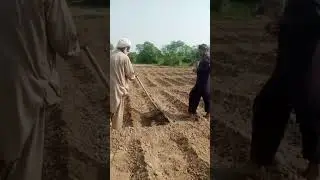 village traditional life style #viral #stunningpakistan#2023#aliziavillagefood