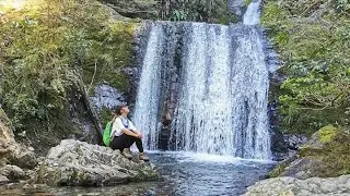 Hiking Ryde Falls, New Zealand