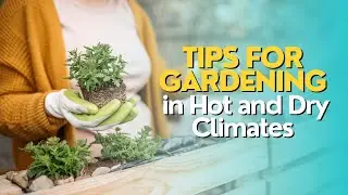 Tips for Gardening in Hot and Dry Climates