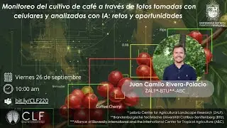 Monitoreo del cultivo de caf&eacute; a trav&eacute;s de fotos tomadas con celulares y analizadas con IA. 