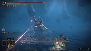 Death Knight's Twin Axes vs Metyr, Mother of Fingers - Elden Ring Shadow of the Erdtree DLC