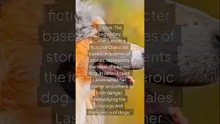 Title: Lassie: The Legendary Heroic Collie #Lassie #Collie #HeroicDogs #Fiction #Inspiration&bull;