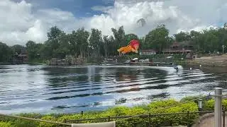 Disney’s Kitetails (The Lion King) Pt. 1: The Circle of Life