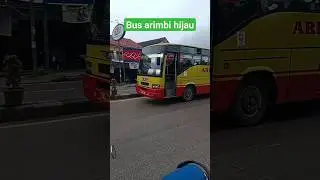 Bus arimbi hijau lewat #bustelolet #teloletviral #teloletbus #arimbi #telolet