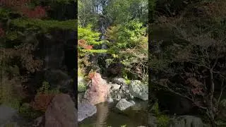 Japanese garden #garden