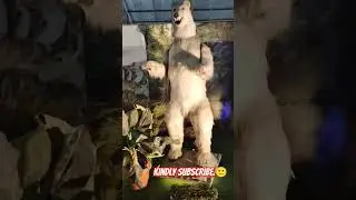 Robotic Animal Exhibition #Fun #polarbear  #Shorts