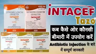 Intacef Tazo Injection | उपयोग, खुराक, प्राइस और सावधानियां | Veterinary Medicine 