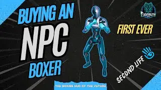 Buying an NPC Boxer | Tutorial | Fightality Boxing System