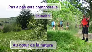 Episode 9 Pas &agrave; pas vers Compostelle