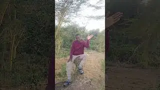 The Kenyan celebrities I've met so far