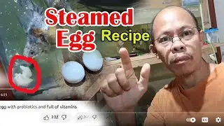 How to make steamed egg with probiotics and full of vitamins and minerals for your ornamental fish