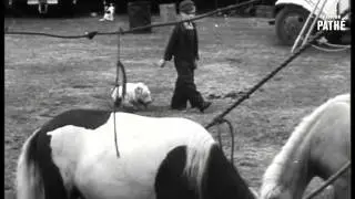 Dave And Dusty (1947)