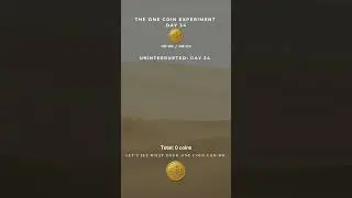 🪙 THE ONE COIN EXPERIMENT &mdash; DAY 34 📅