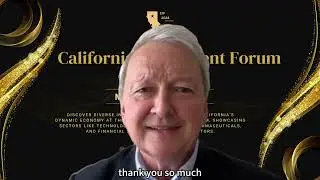 Dolf's Global Business Mastery From Real Estate to Border Free Business Innovation