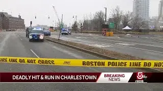 Pedestrian dies after being struck by hit-and-run vehicle
