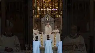 The Beauty of Catholicism ✝️ 🕊️#catholic #church #worship
