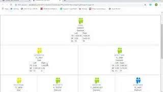 MLM Software Member Genealogy Demo