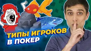 Типы игроков в покер: какими бывают наши соперники за столом?