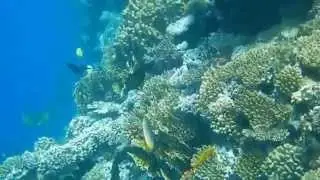 DSCN1065
