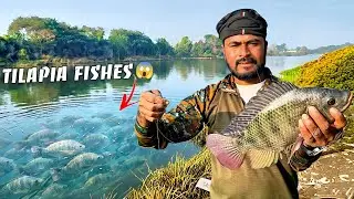 Caught a Big Tilapia 😱 | Unbelievable 3-Hook Catch 🎣 | ABR Fishing