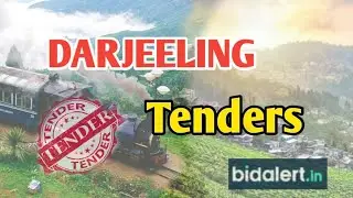 DARJEELING TENDERS  