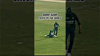 Babar Azam Takes Fantastic Diving Catch #shorts #cricket #babarazam