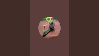 Smartbirds sedang live sekarang!