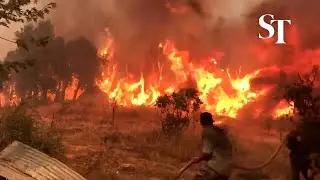 Wildfires rage across Algeria, Greece and Italy