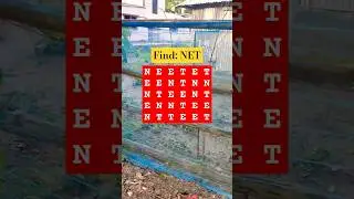 Observation Visual Test: 5 Seconds For You To Spot 
